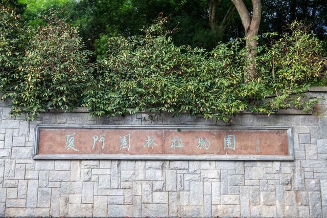 来游厦门植物园赏植物界奇观,超适合夏季去避暑打卡拍照! 来游厦门植物园赏植物界奇观,超适合夏季去避暑打卡拍照!