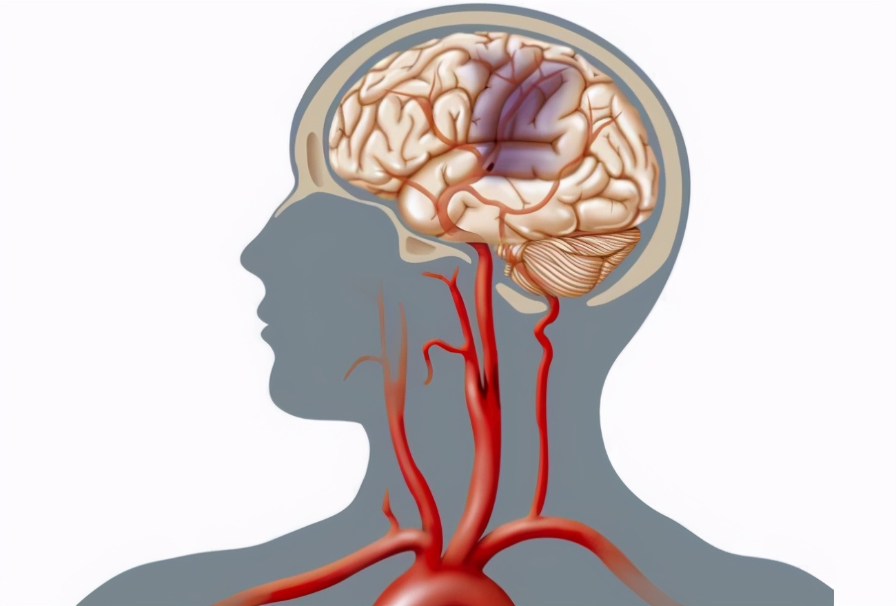 脑袋被砍掉后,还有意识吗?...