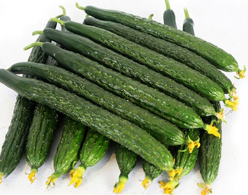 黄瓜哈密瓜最佳搭配 水果榨汁健康吃法