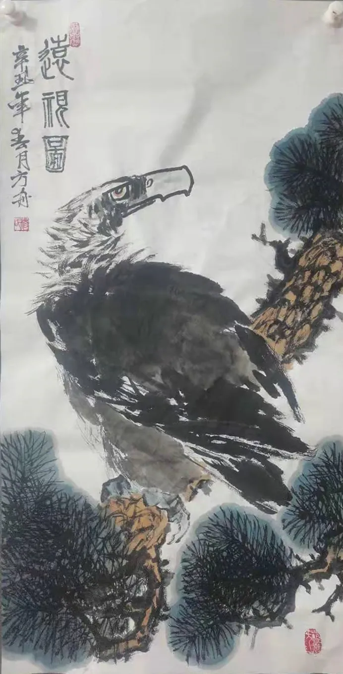 美协画家杨方舟酷爱画鹰被誉为亚洲鹰王