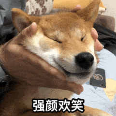 你有被狗狗的智商震惊过吗?说好的不许成精呢