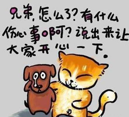 笑话大全爆笑简短的幽默句子拯救你的不开心