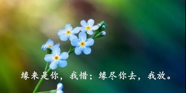 发朋友圈的经典好句子经典说说适合发朋友圈的
