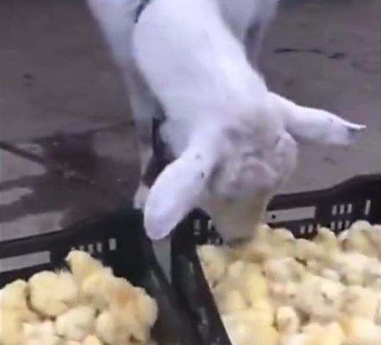 С�����������б䴫��������ҳ�棬�Լ�ɽ������쿴��������˲�������