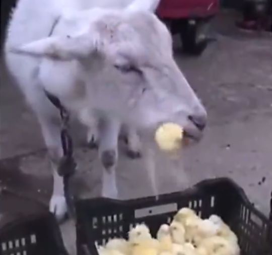 С�����������б䴫��������ҳ�棬�Լ�ɽ������쿴��������˲�������