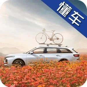 最低八万块，这两款旅行车让你也能游历世界