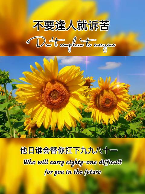 原子核的核电荷数如何测量出来的？...