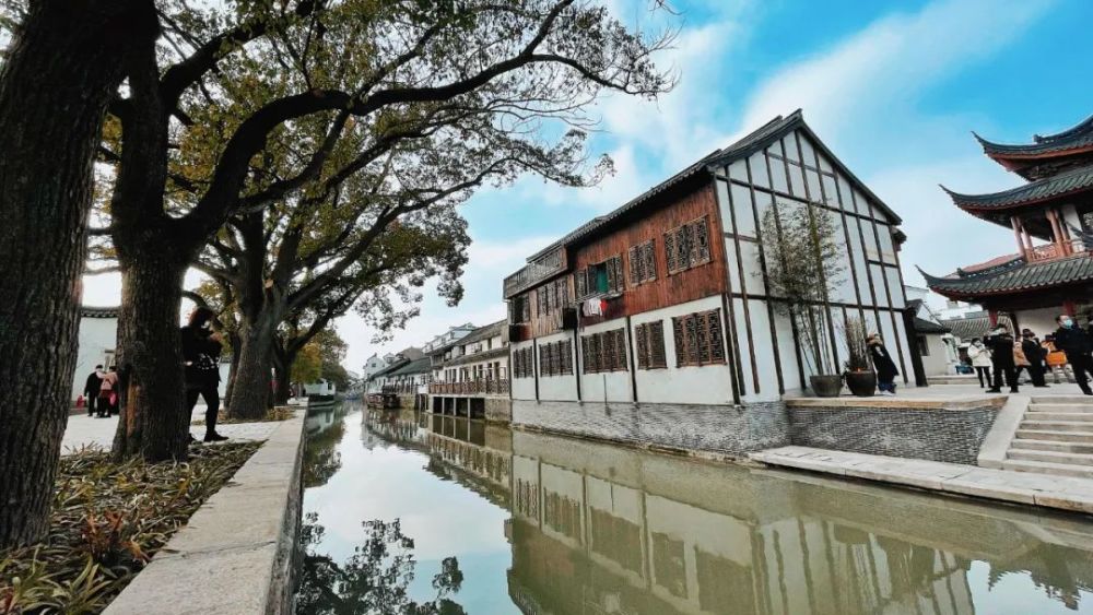 上海又添一条网红老街风格却有不同奉贤青村青溪老街开街迎客
