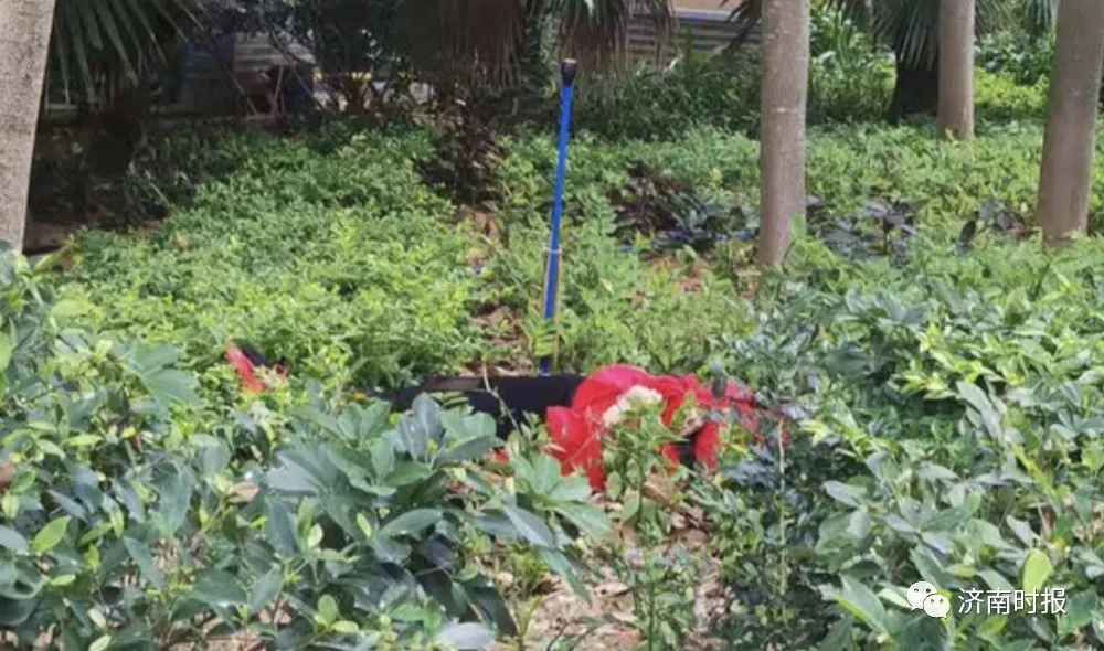 「关注」红衣女子在20多层阳台外跳舞坠楼,警方最新通报休闲区蓝鸢梦想 - Www.slyday.coM 「关注」红衣女子在20多层阳台外跳舞坠楼,警方最新通报休闲区蓝鸢梦想 - Www.slyday.coM