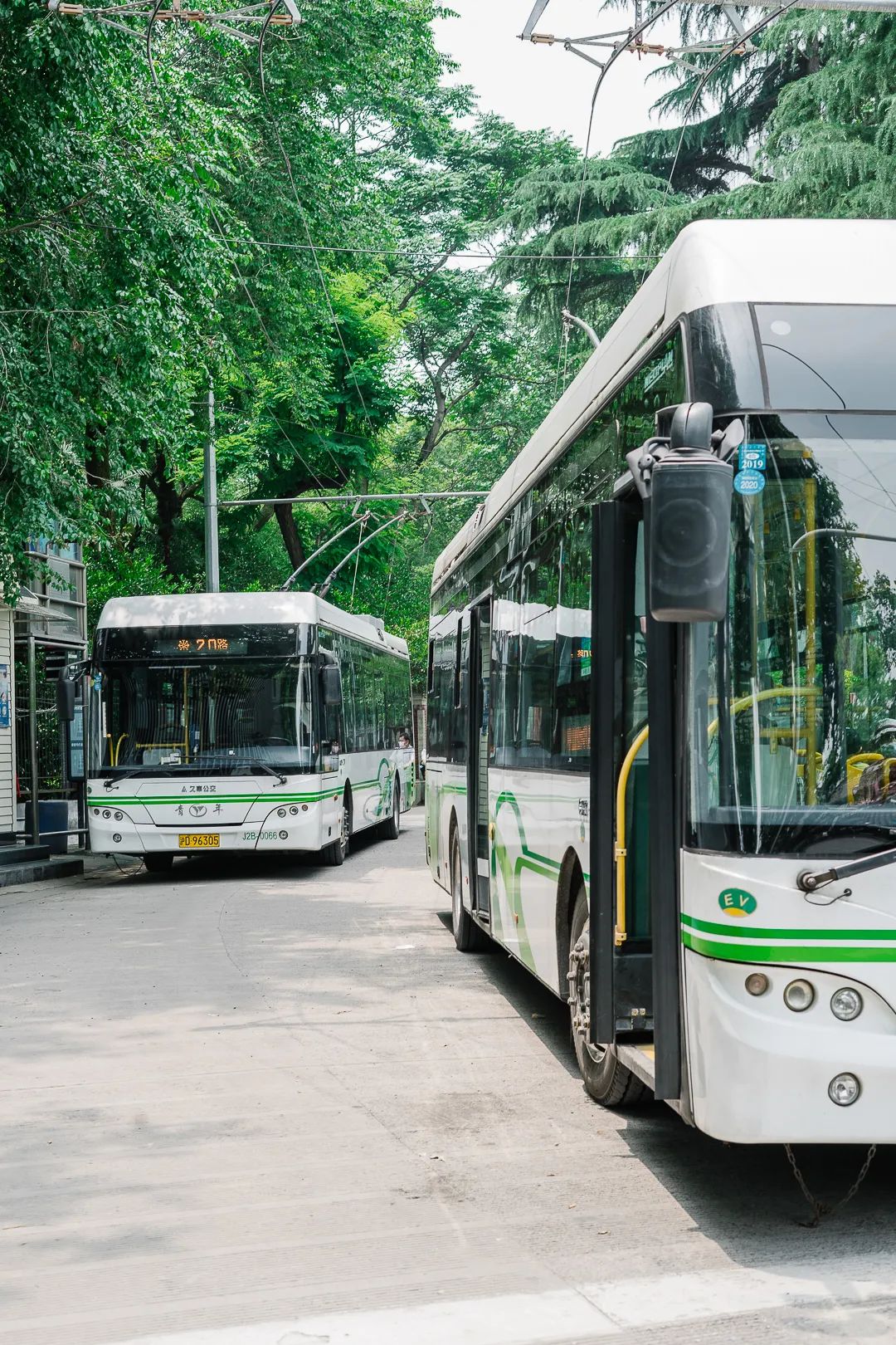 上海公交现役车型图集(截止2020年9月)—万象篇③ - 哔哩哔哩