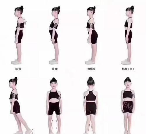 恐龙与鸡的进化关系 恐龙如何变成现代鸡