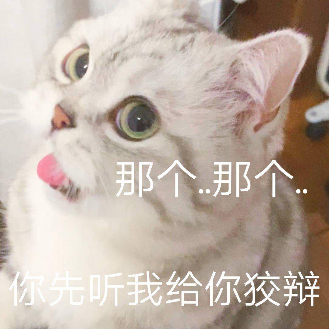 可可爱爱猫咪表情包