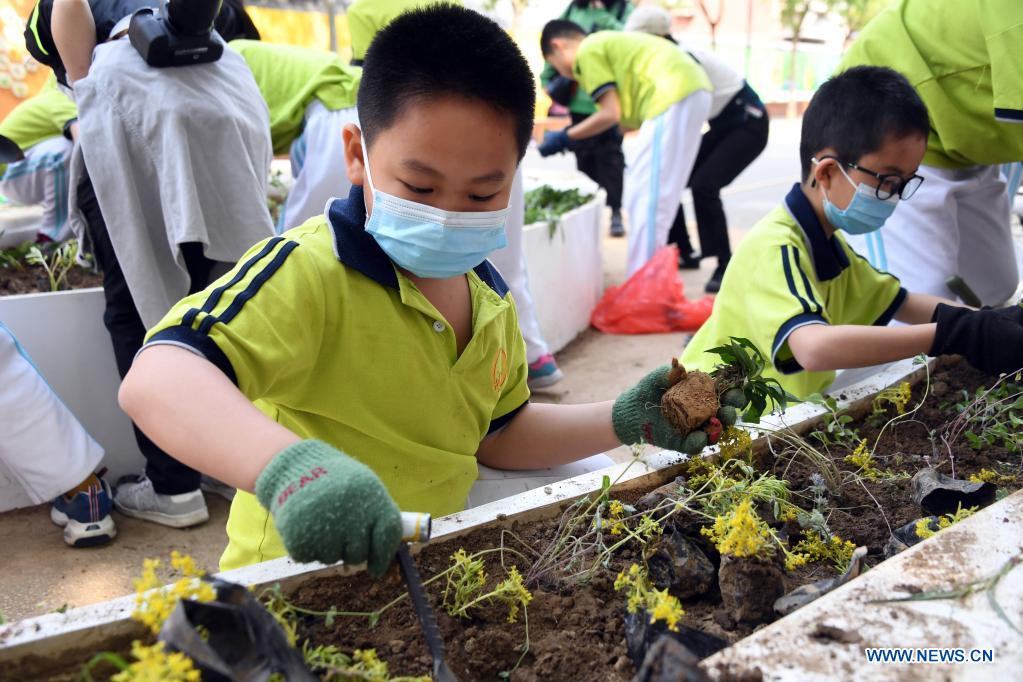 Students plant to beautify the neighborhood in Haidian District of Beijing, capital of China, May 11, 2021. (Xinhua/Ren Chao)