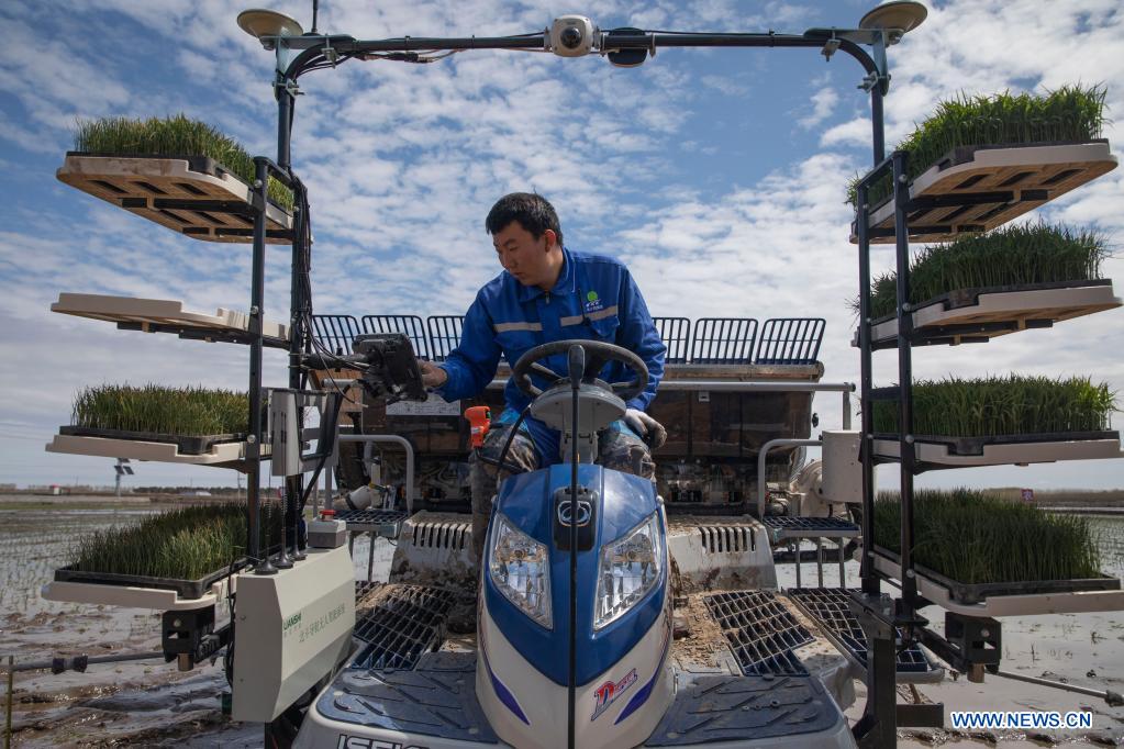 A staff member sets working route for an unmanned transplanter on a vehicle-mounted terminal tablet in a smart agriculture demonstration zone administered by Hongwei Farm Co., Ltd. of Beidahuang Group in northeast China's Heilongjiang Province, May 11, 2021. Equipped with a self-driving system based on the Beidou Navigation Satellite System (BDS), the smart transplanter can independently finish rice transplanting, avoid obstacles and turn around when needed. (Xinhua/Zhang Tao)