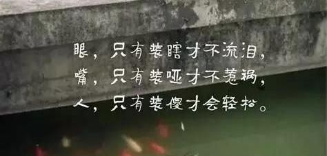 有的时候揣着明白装糊涂未必是坏事,而装傻也是一种本事,俗话