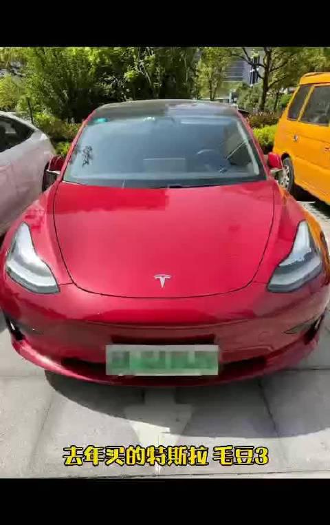 网友称特斯拉model3被拒保，去年买的特斯拉毛豆3……