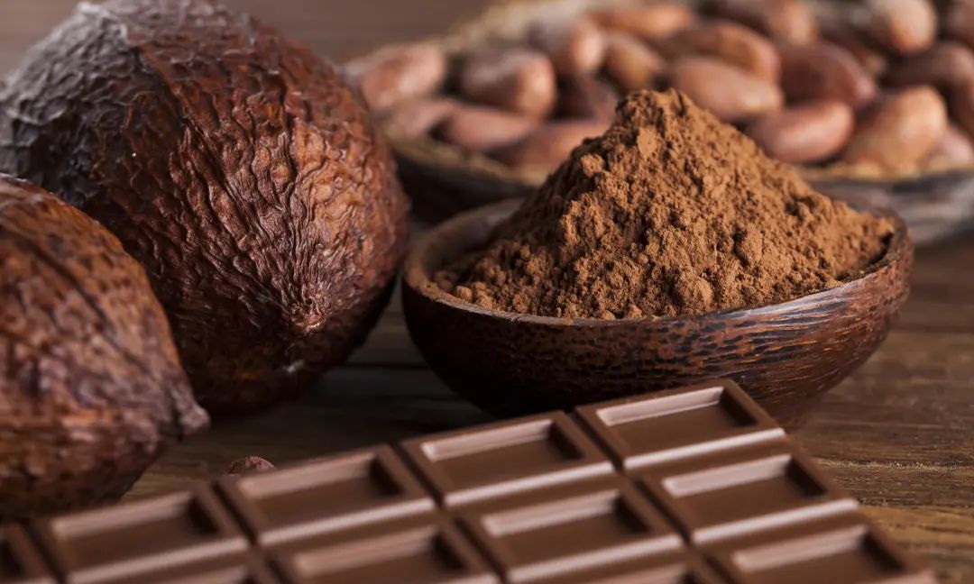 朱古力是什么意思 巧克力朱古力区别在哪