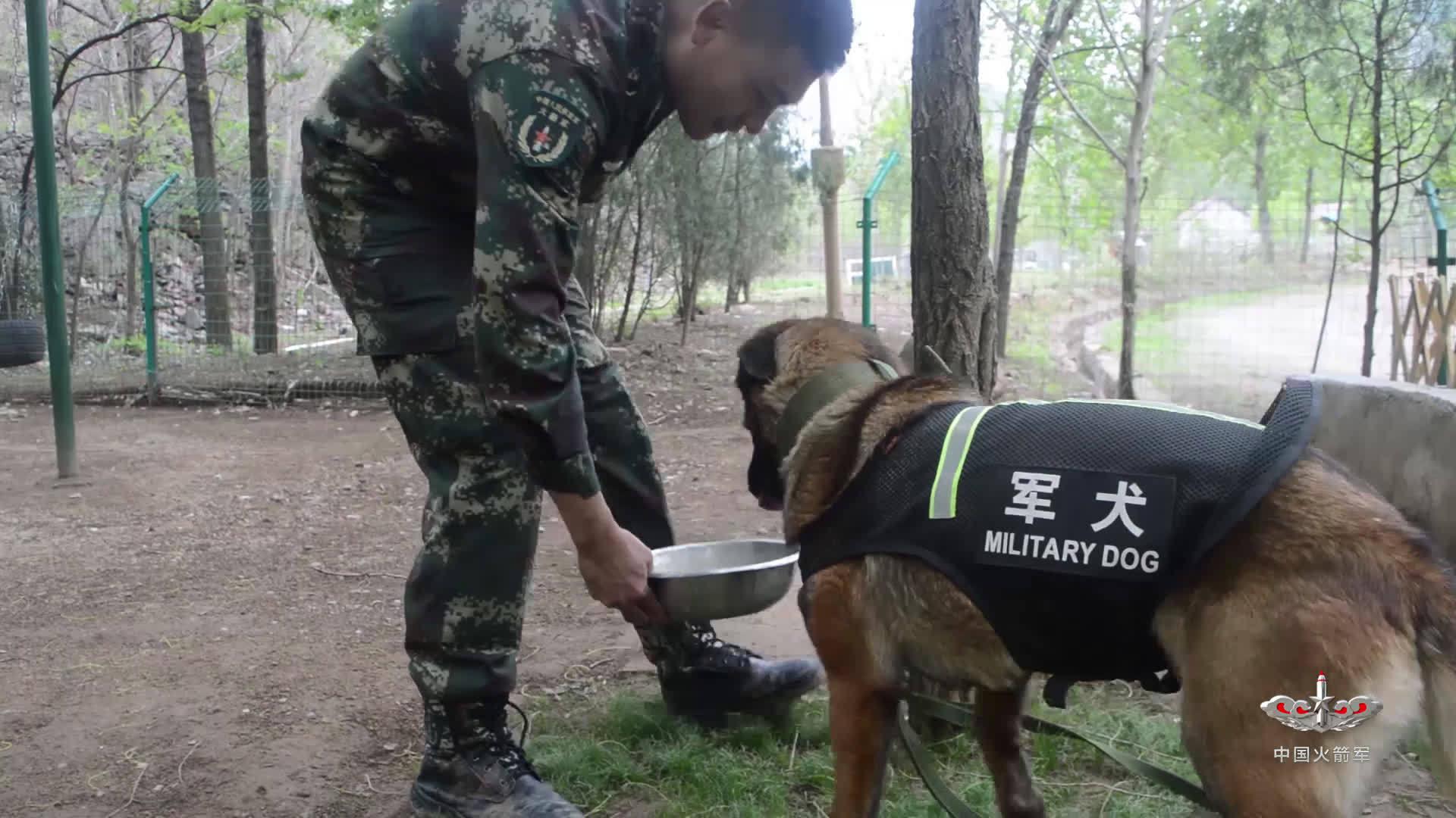 胜火生活小日常,精致的干饭才更有力气训练!