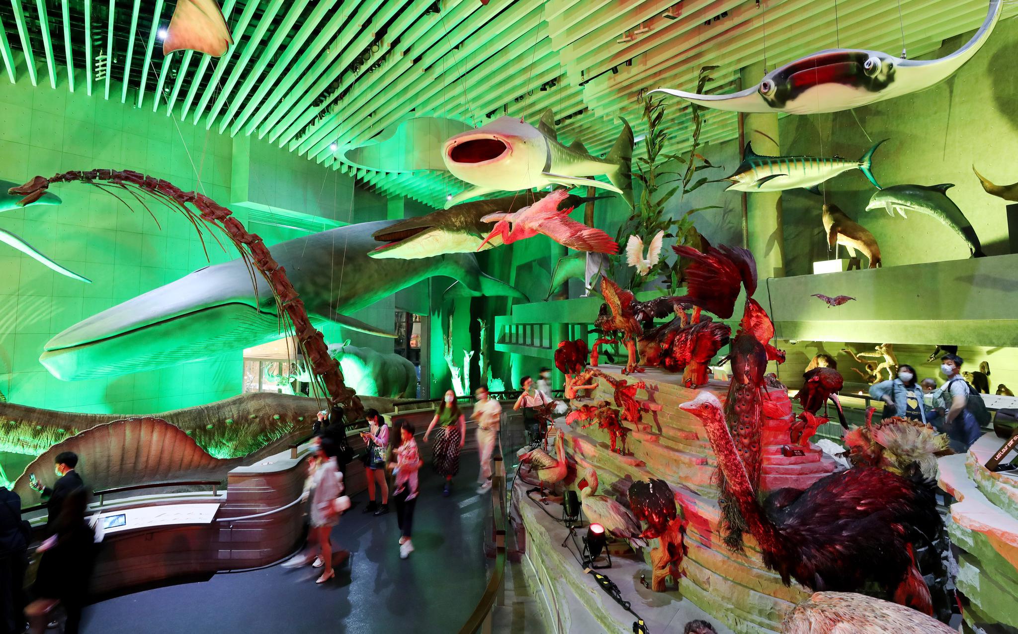 5月18日,参观者在上海自然博物馆生命长河展区参观.