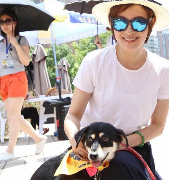 为何女明星都喜欢戴翡翠手镯呢翡翠到底有何魅力吸引着大家