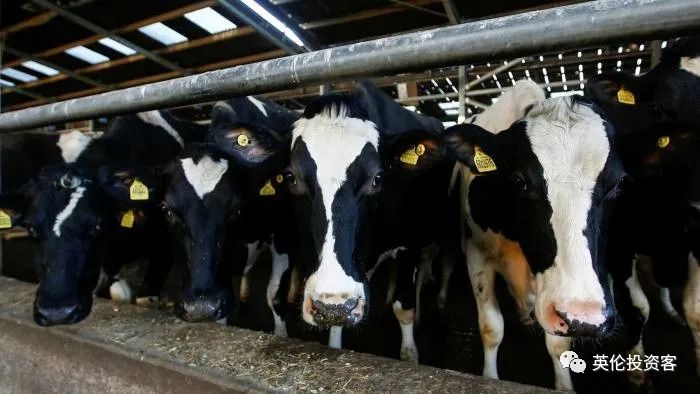 英国约克郡发现又一变异病毒!疫苗保护下九成地区新冠死亡清零!专家称形势可控...休闲区蓝鸢梦想 - Www.slyday.coM 英国约克郡发现又一变异病毒!疫苗保护下九成地区新冠死亡清零!专家称形势可控...休闲区蓝鸢梦想 - Www.slyday.coM