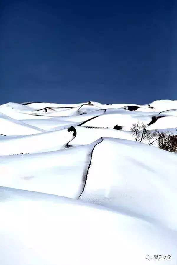 中卫旅行交通全攻略：最实用的路线和时间安排