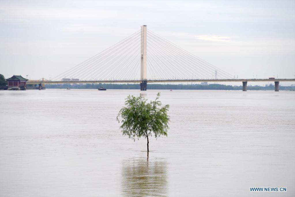 Photo taken on May 23, 2021 shows a tree immersed in water in the Ganjiang River in Nanchang, east China's Jiangxi Province. Water level of Ganjiang River has been rising due to the torrential rain. (Xinhua/Peng Zhaozhi)