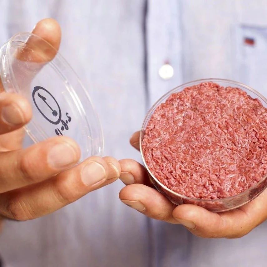 未知生物真实视频解析 d551-kqpyffy9366456.jpg