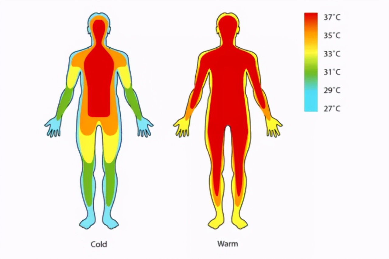 哀牢山四名地质人员遇难真相 失温为何会让人露出微笑