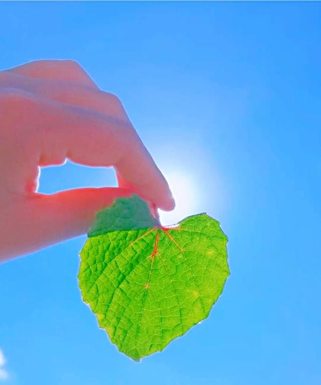 拥有昂扬的斗志,永远积极乐观面对人生悲喜的状态,生活无论怎么选,都