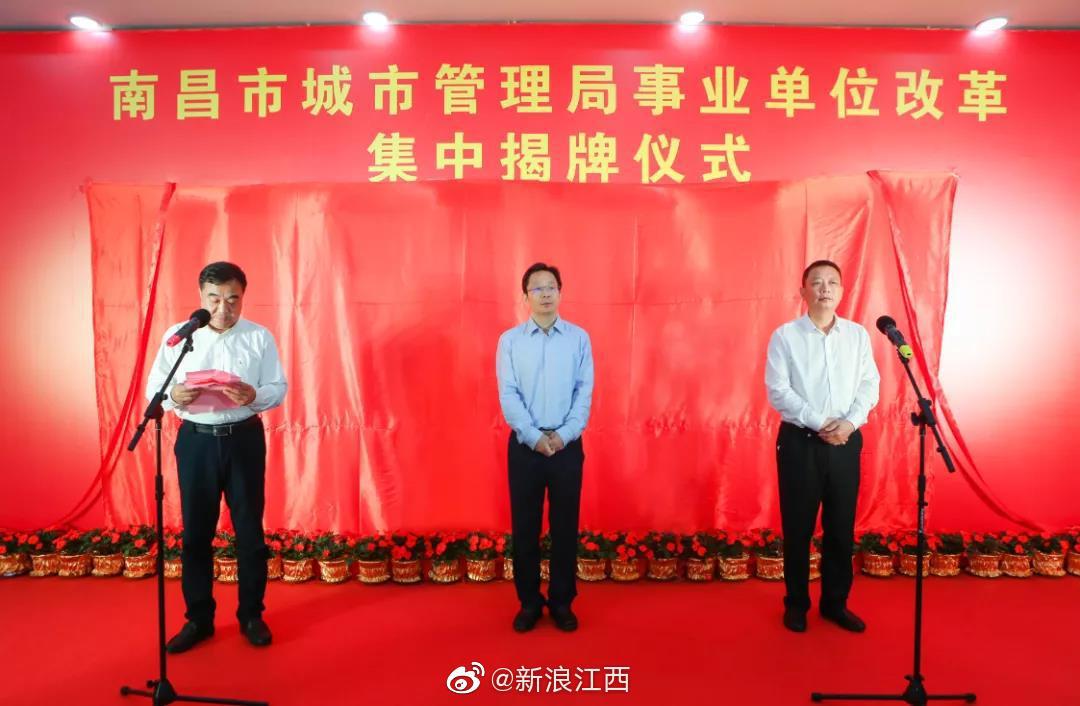 根据最新统计数据显示,东莞18招有哪些招？深度解析其真实应用与效果