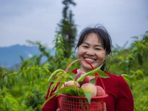 沐溪镇三溪村：农旅融合 激发乡村活力