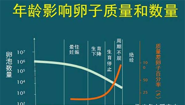 上海供卵试管婴儿（为什么说高龄家庭做试管婴儿更困难呢）