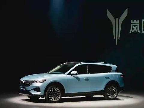 均价贵过宝马、奥迪，蔚来的高端化捷径可以复制吗？