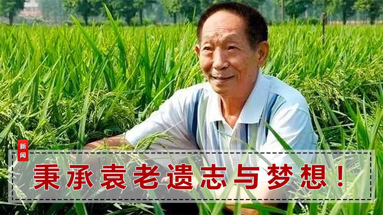悼念袁隆平的鲜花装满了32辆卡车追悼卡片去了这四个地方
