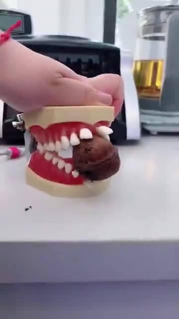 为什么牙齿不能咬核桃小实验告诉你
