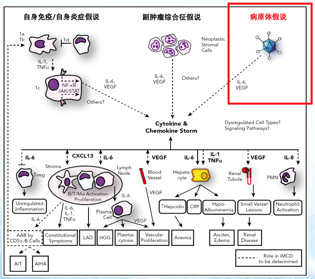 印度探月发现月球有水，日本发现月球巨大空洞，中国发...