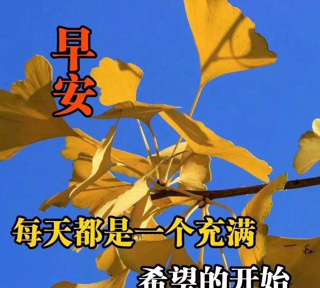 2021年图片早上好,健康快乐早上好问候语 2021年下半年早上好温馨祝福词句,早安真诚的祝福图片