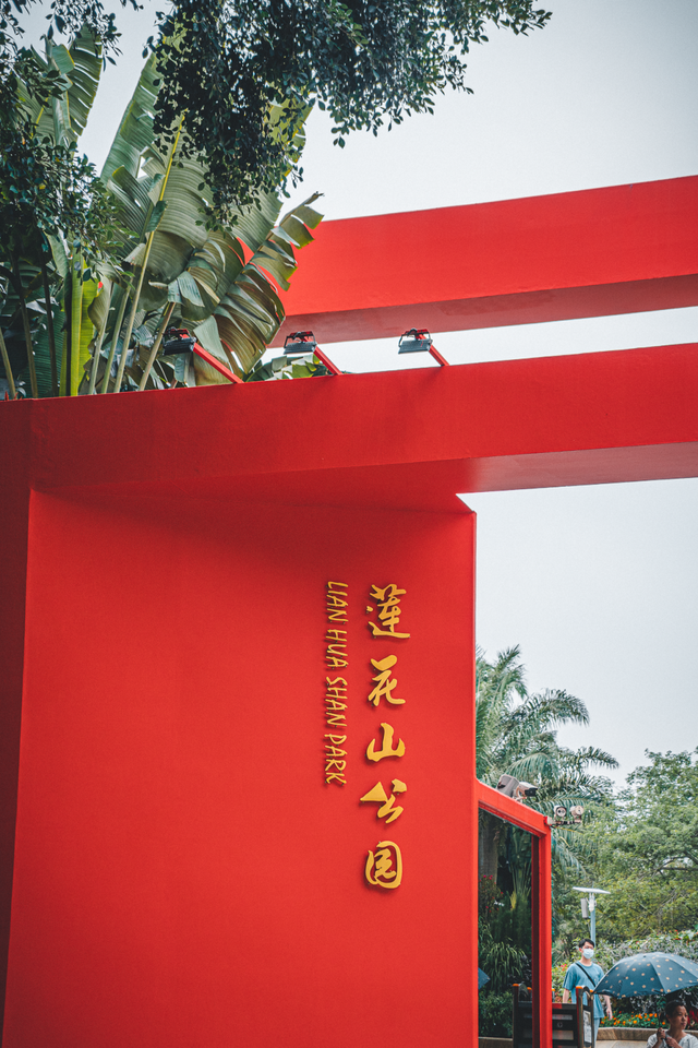 暗访深圳莲花山相亲角年薪50w有车有房高学历竟然没人要
