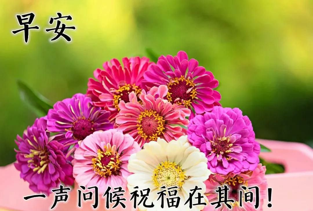 2021年精选祝福,早上好祝福图片,朋友圈温馨祝福