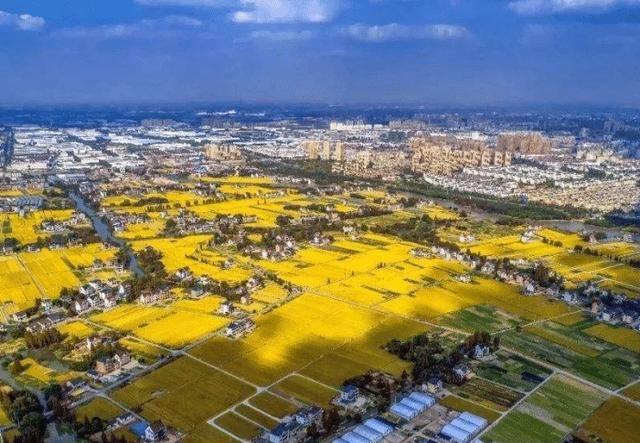 上海各区县gdp_上海各区2021年GDP排行:浦东新区GDP突破1.5万亿元,再创新高(2)