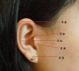 厚耳垂的人,一般属于大富大贵型,而更好的耳相就是耳垂上长痣,这是极