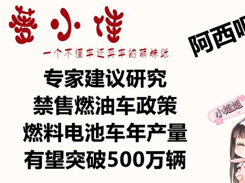 专家建议研究禁售燃油车政策，燃料电池车年产量有望突破500万辆