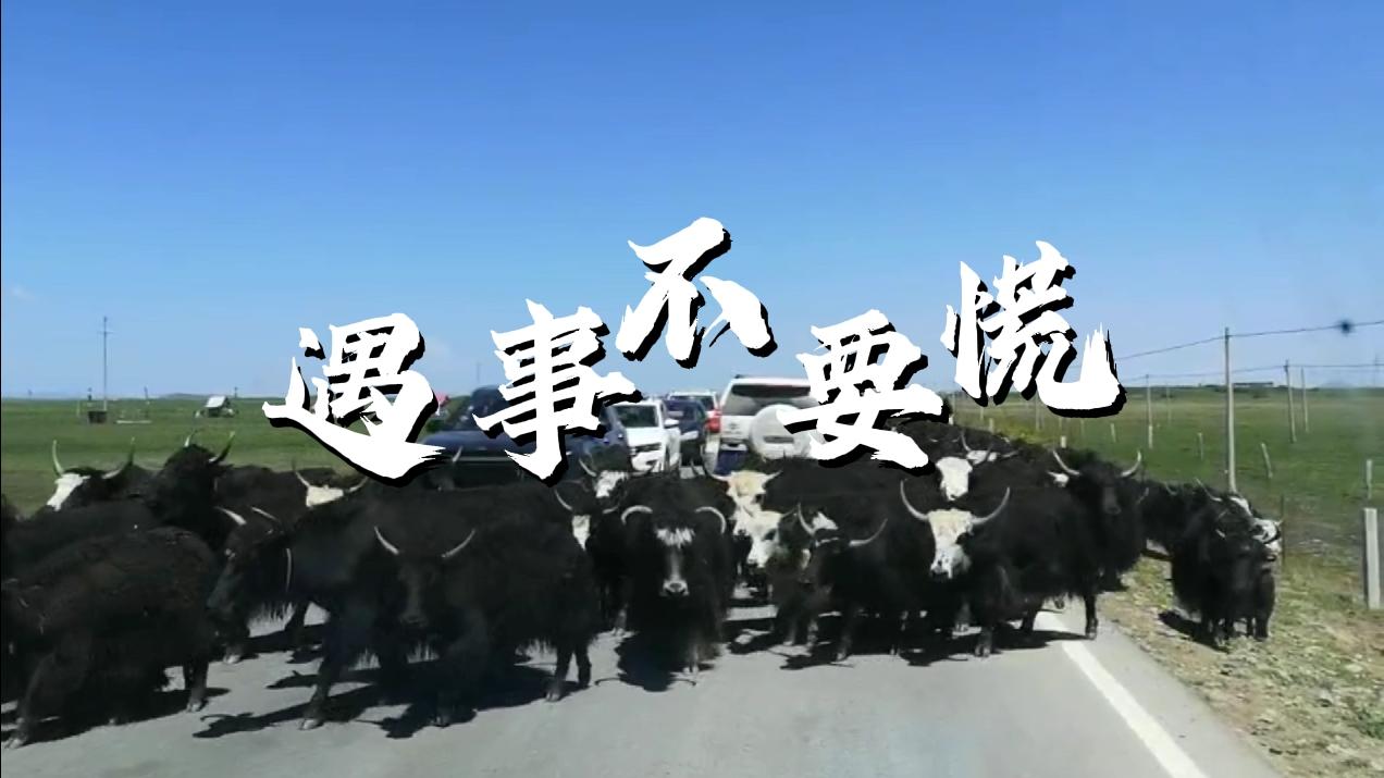 遇事不要慌,先拿出手机拍个朋友圈!