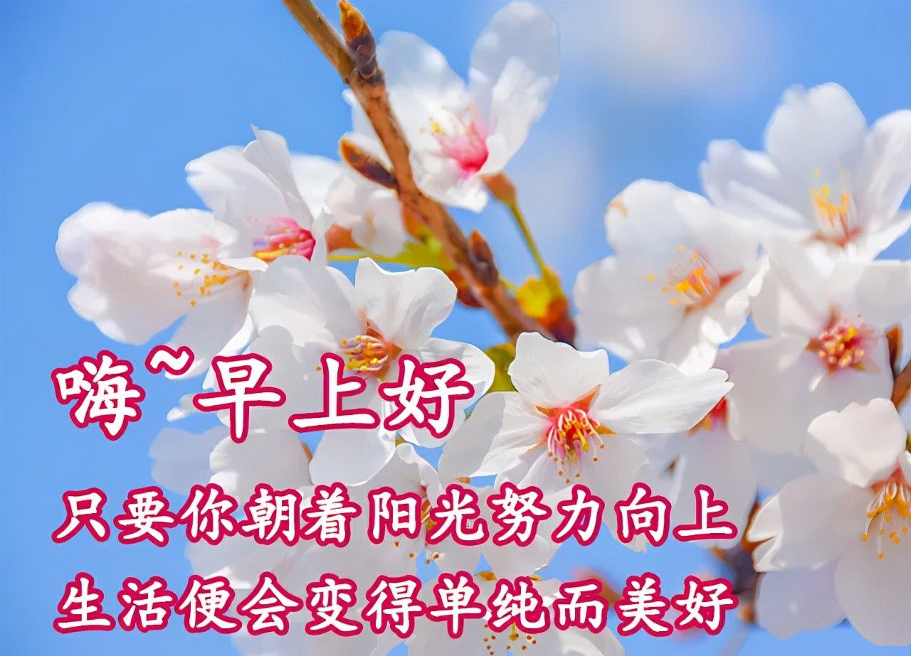 关于2021年祝福的图片,2021中秋最新图片 2021年早上好祝福心语,温馨祝福图片