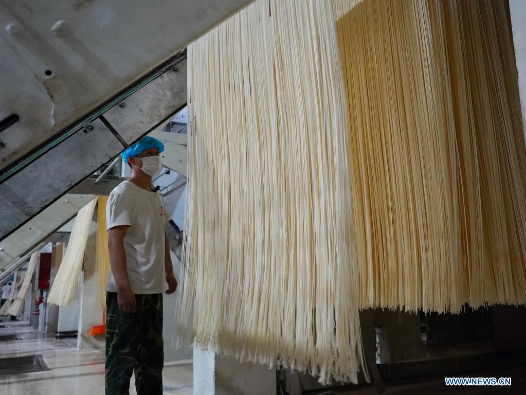 A staff member works on the production line of a local noodle factory in Xingtai, north China's Hebei Province, June 9, 2021. With the summer wheat harvest underway, farmers in north China's Xingtai have been busy in the fields to reap the year's premium grains. In Xingtai, a total of 65 farmers have joined the Jinshahe specialized cooperative that provides them with technical guidance in crop harvesting. The cooperative will sell freshly harvested crops to a local noodle factory where staple products are made and sold to customers. (Xinhua/Jin Haoyuan)