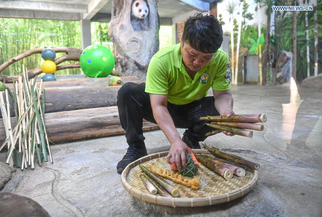 A staff member prepares special snacks for giant pandas at the Hainan Tropical Wildlife Park and Botanical Garden on the occasion of the Dragon Boat Festival in Haikou, south China's Hainan Province, June 14, 2021. To mark the Dragon Boat Festival which fell on Monday, staff members at the Hainan Tropical Wildlife Park and Botanical Garden have prepared special snacks for animals here. (Xinhua/Pu Xiaoxu)