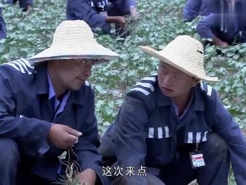 大漠高墙这位犯人真是狂妄被警官教训看着过瘾