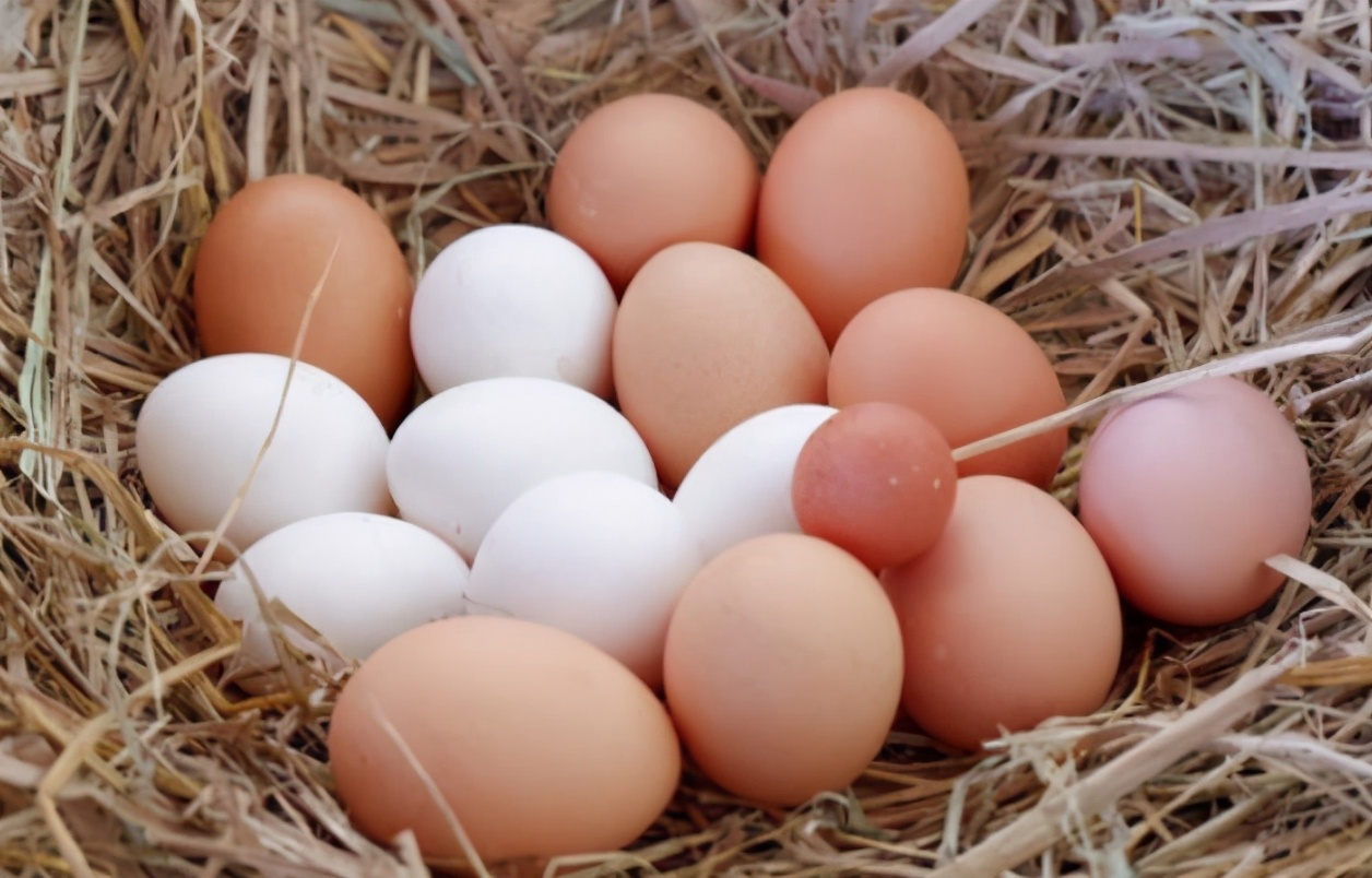 买鸡蛋，白壳比红壳好？土鸡蛋好不好？养鸡大妈告诉你，不被忽悠|土鸡蛋|白壳蛋|白霜_新浪新闻
