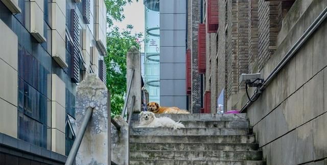 芜湖婚纱摄影排行_芜湖婚纱摄影排名,芜湖婚纱摄影前十名(2)